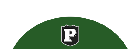 psd shield logo