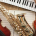 musical instruments
